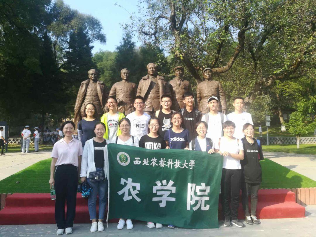 逃离陈旧房3